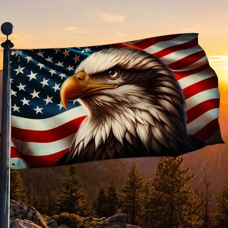 Bimipi American Flag, Patriotic Eagle American Grommet Flag - 3-Day Shipping