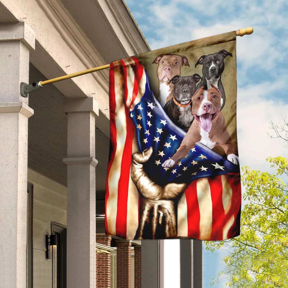 Pitbull American Flag