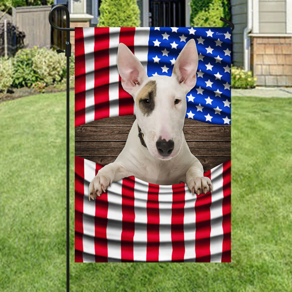 Bull Terrier American Flag THB3647Fv3