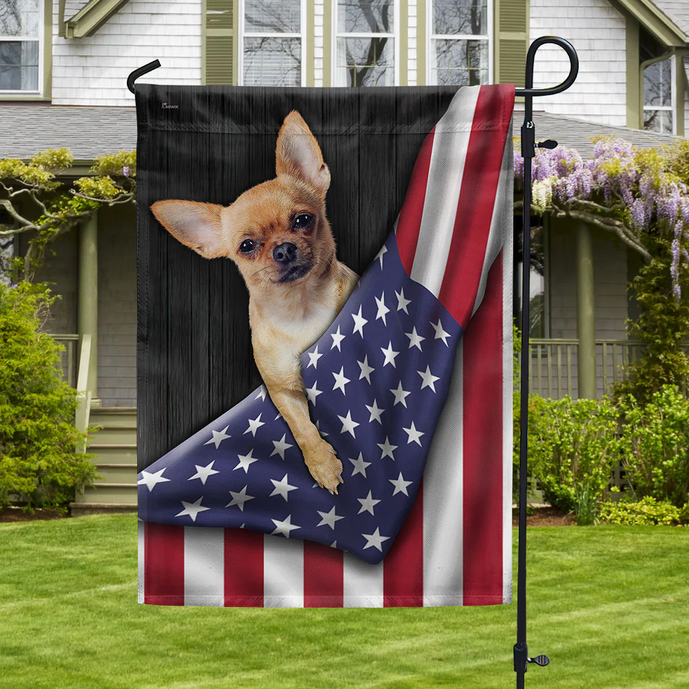 Chihuahua Dog American Flag