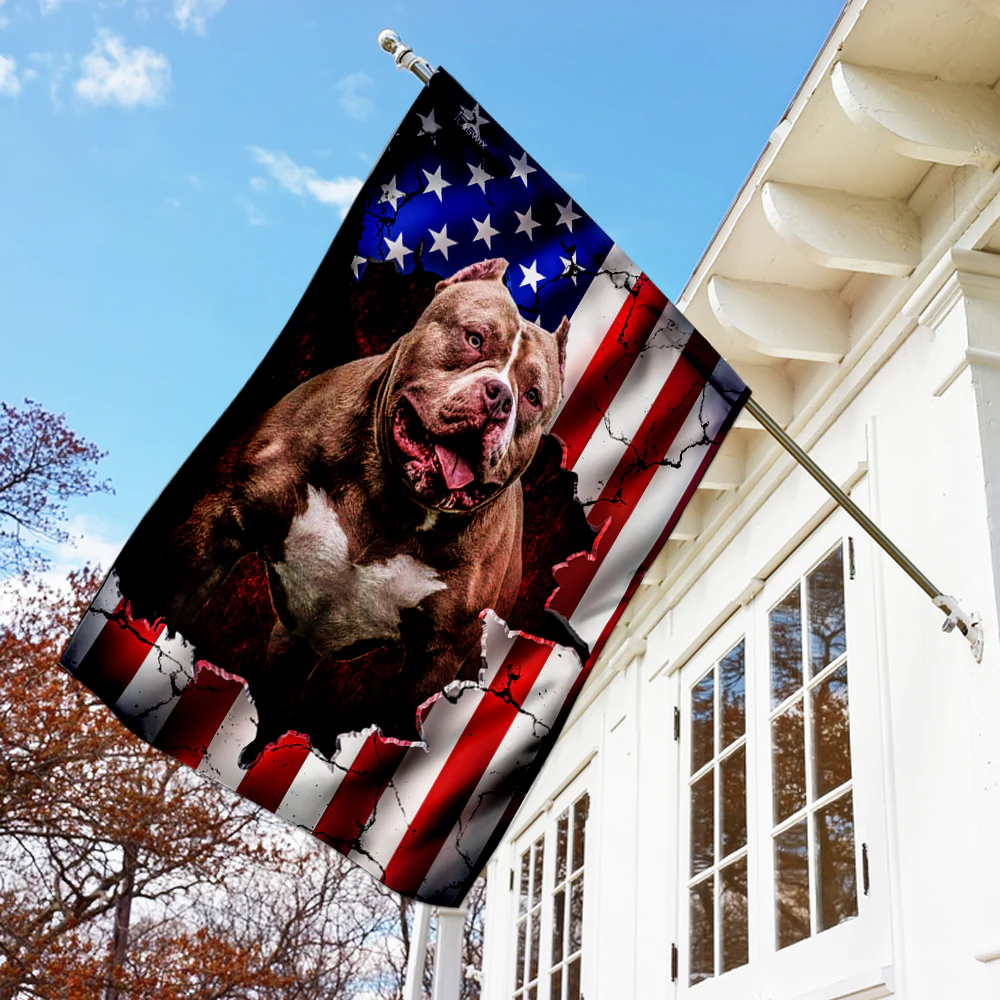 Pitbull American Flag