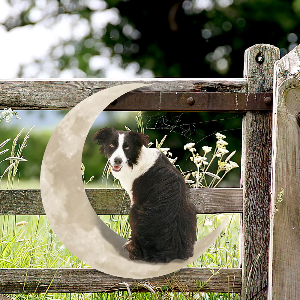 Border Collie Dog On The Moon Hanging Metal Sign QNK879MSv11a