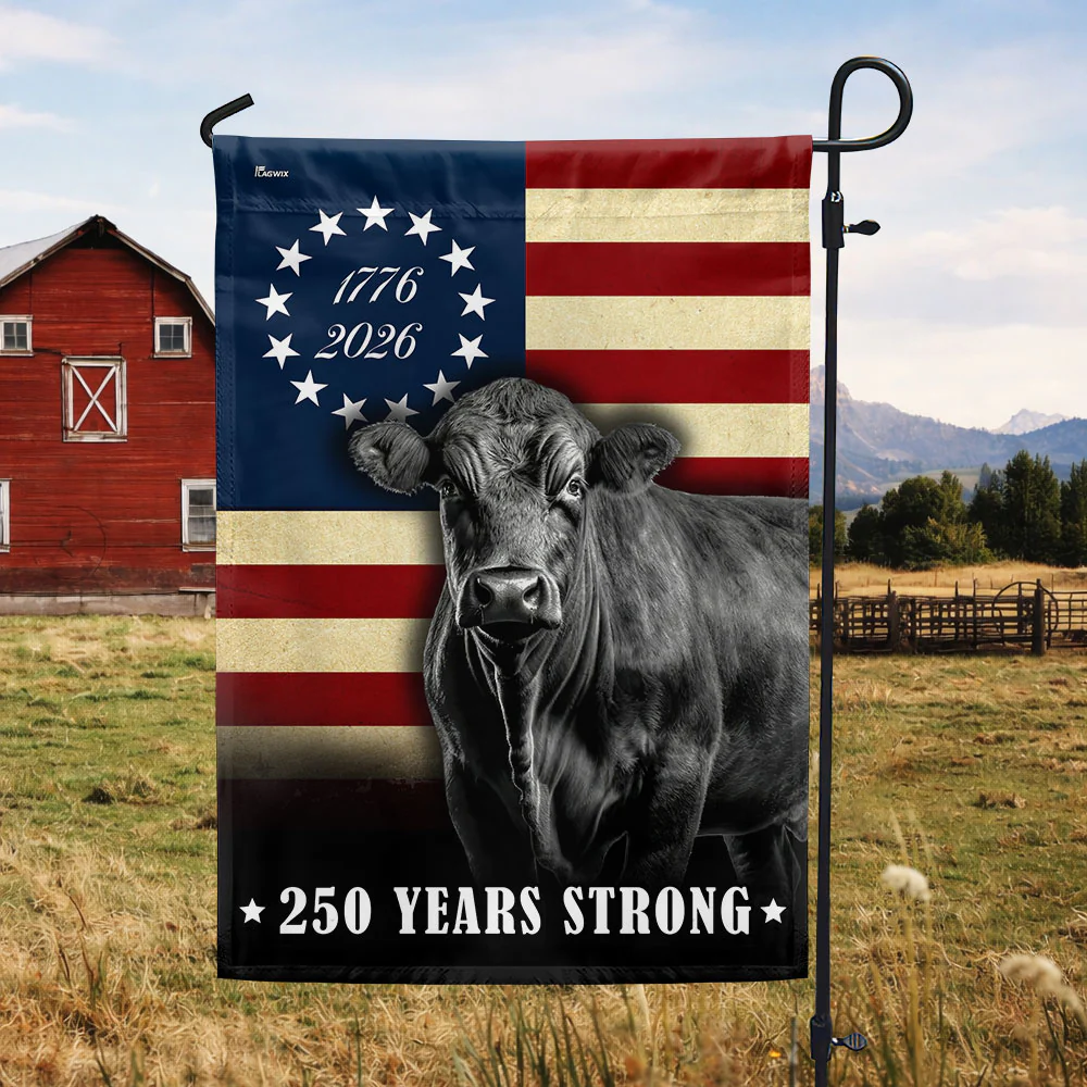 250 Years Strong Black Angus Cattle 1776 2026 Farmhouse Patriotic Decor