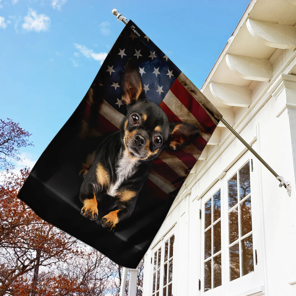 Chihuahua American Flag