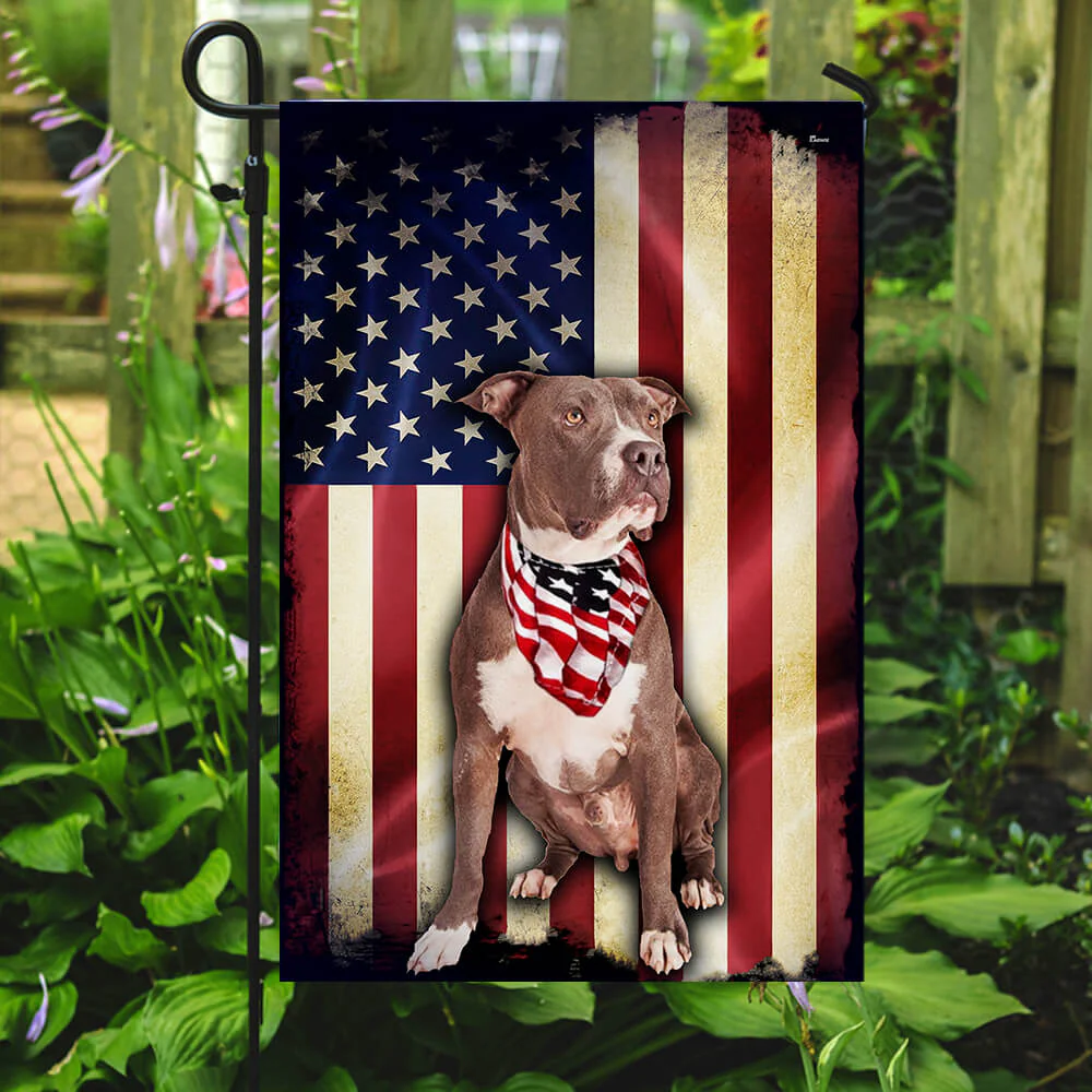 Pit bull American Flag