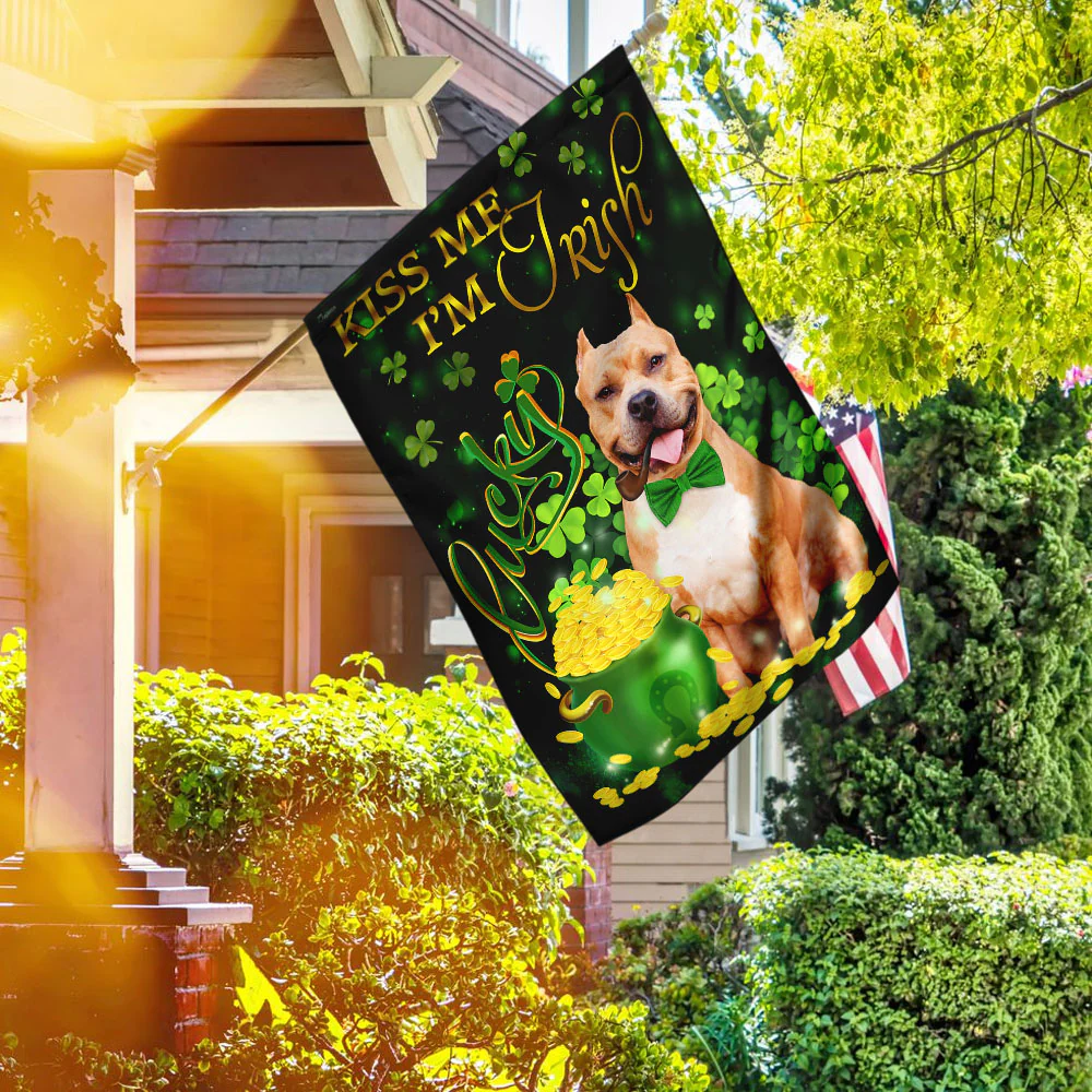 Pit bull Kiss Me I'm Irish St. Patrick's Day Flag