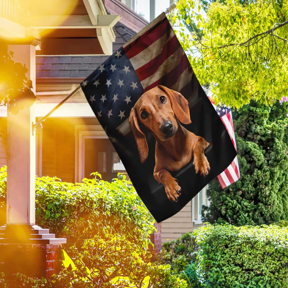 Red Dachshund American Flag