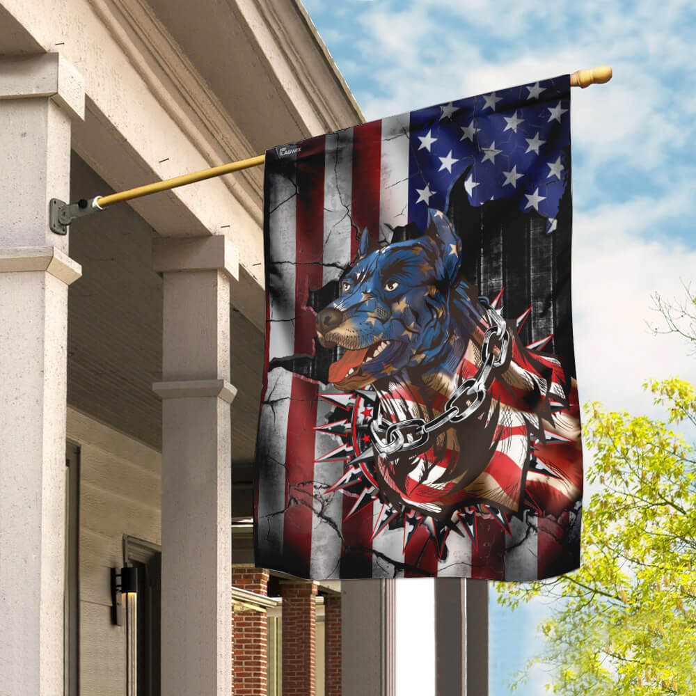 Pitbull American Flag