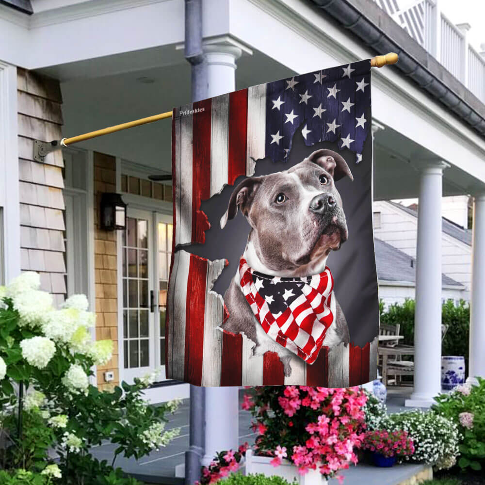 Pit Bull American Flag