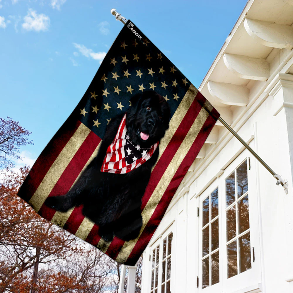 Newfoundland Dog American Flag Wrapped in Glory
