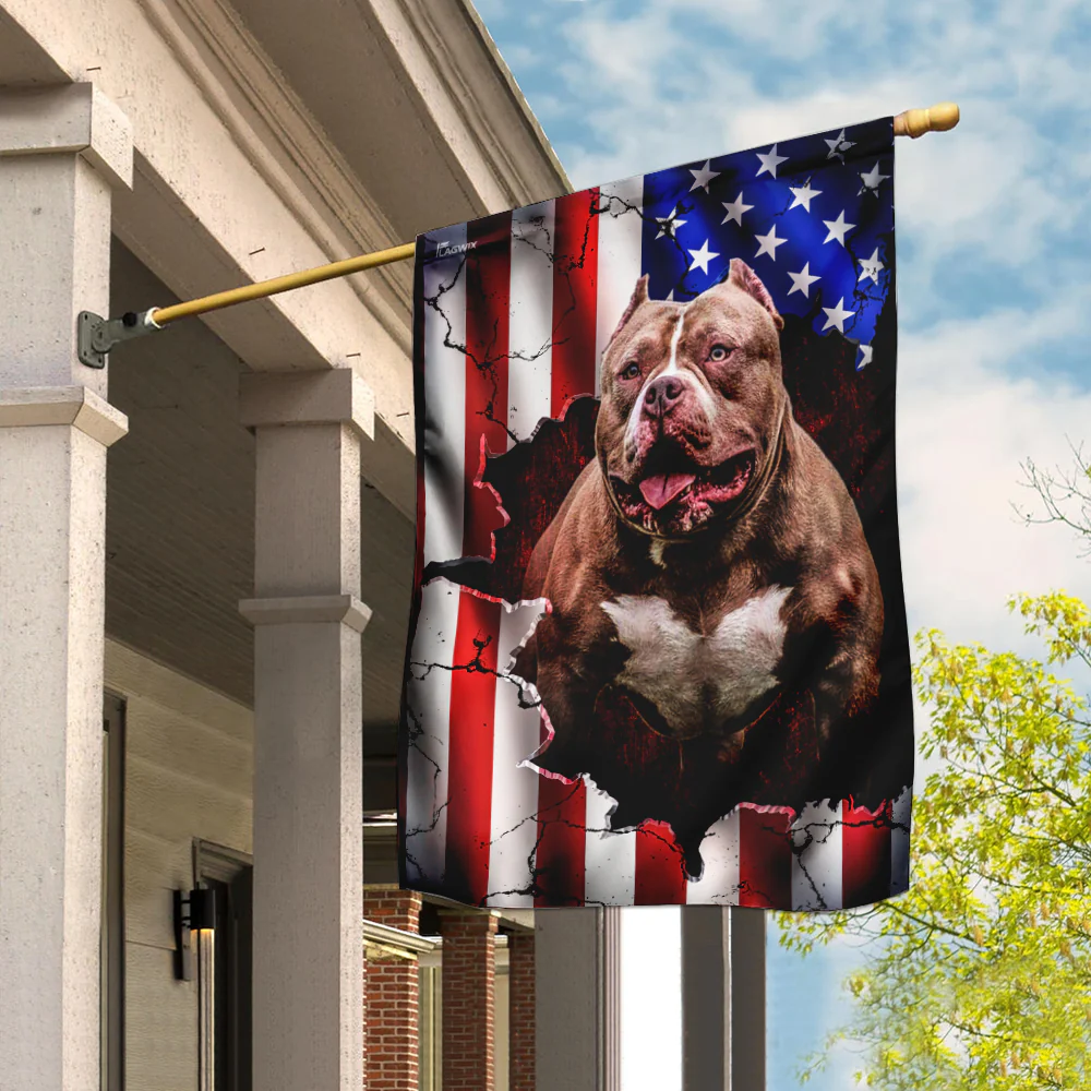 Pitbull American Flag