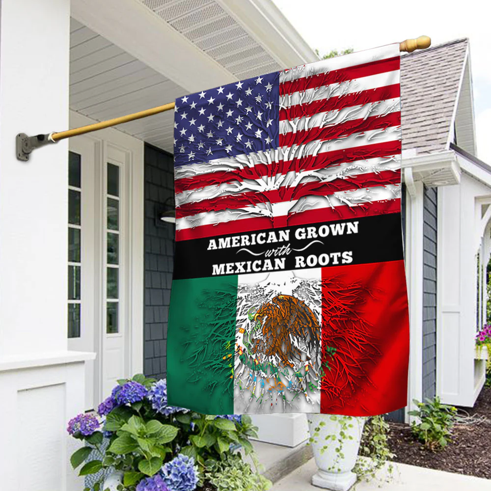 Mexico Mexican American Flag